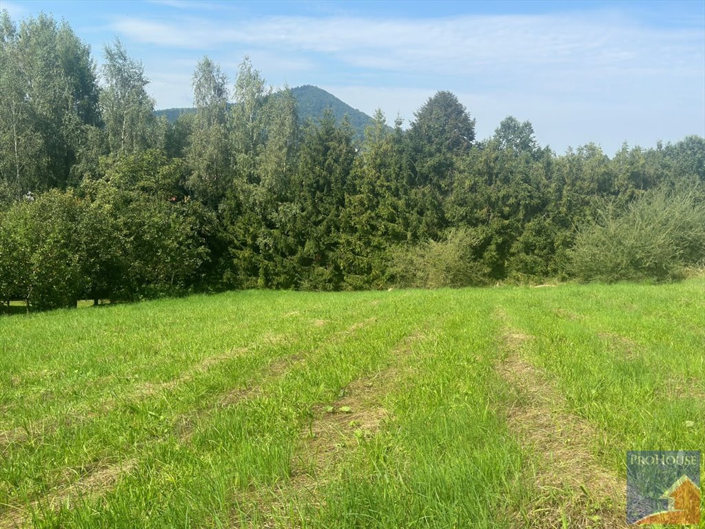 Działka budowlana na sprzedaż Rupniów  2 000m2 Foto 13