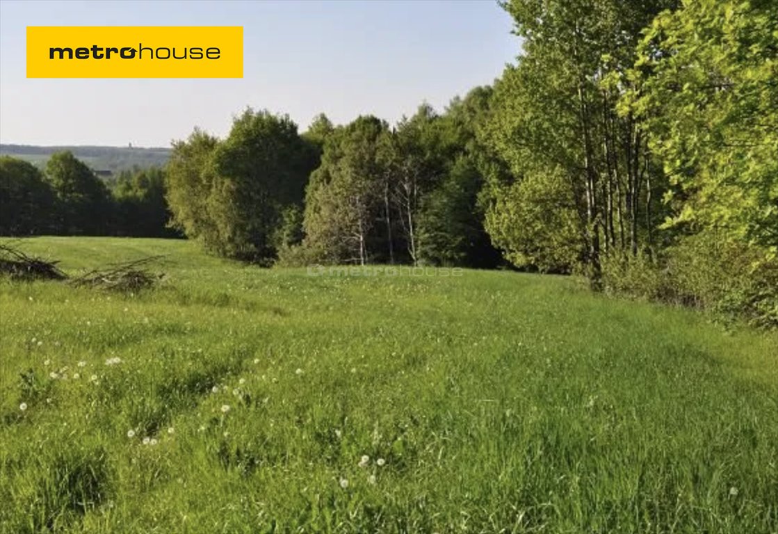 Działka inna na sprzedaż Wieprz  36 000m2 Foto 1