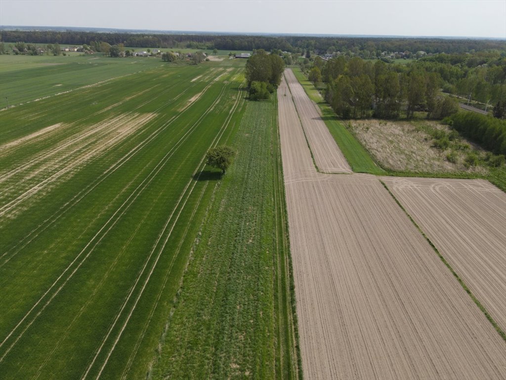 Działka rolna 8,5 ha z dojazdem gruntowym - Gajewniki Gajewniki  8 466m2 Foto 1