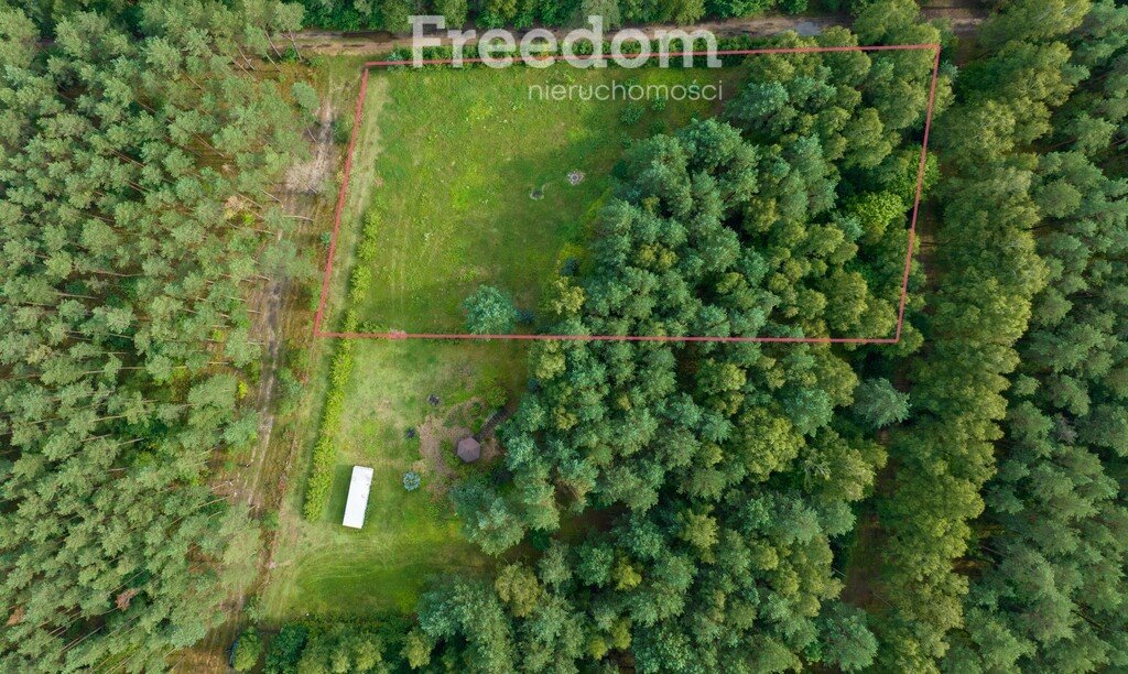 Działka rolna z możliwością zabudowy - Więckowo 4586 m² Więckowo  4 586m2 Foto 1