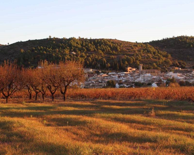 Dom na sprzedaż Hiszpania, Lliber, Hiszpania, Lliber  314m2 Foto 24