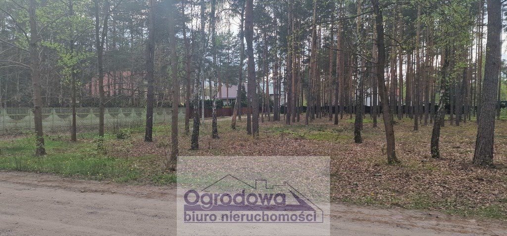 Działka budowlana na sprzedaż Zagościniec  4 059m2 Foto 1