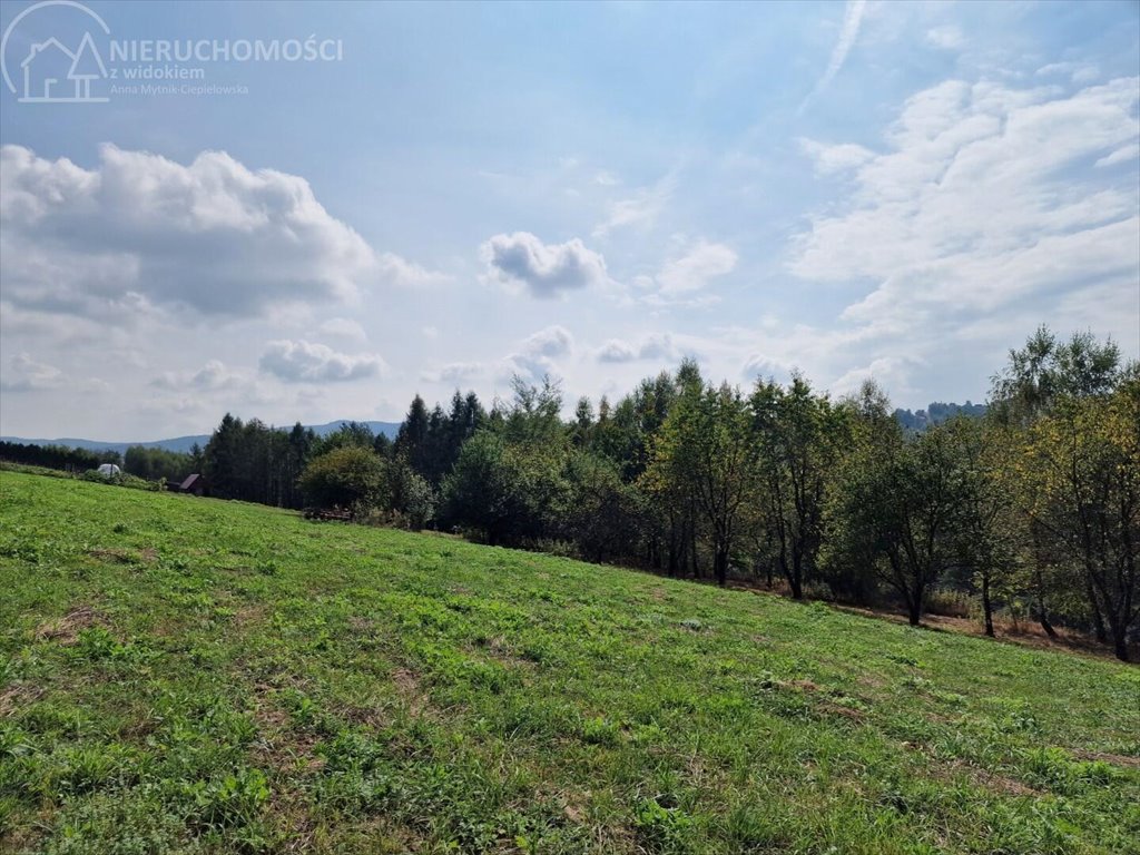 Działka budowlana na sprzedaż Tuchów  4 632m2 Foto 4