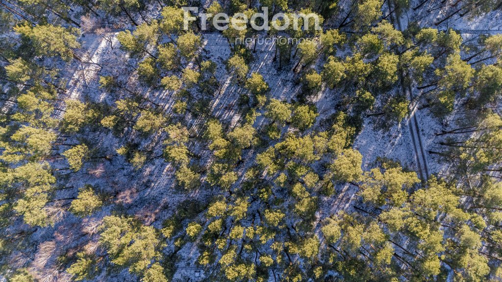 Działka budowlana na sprzedaż Złotokłos, Wierzbowa  4 200m2 Foto 7