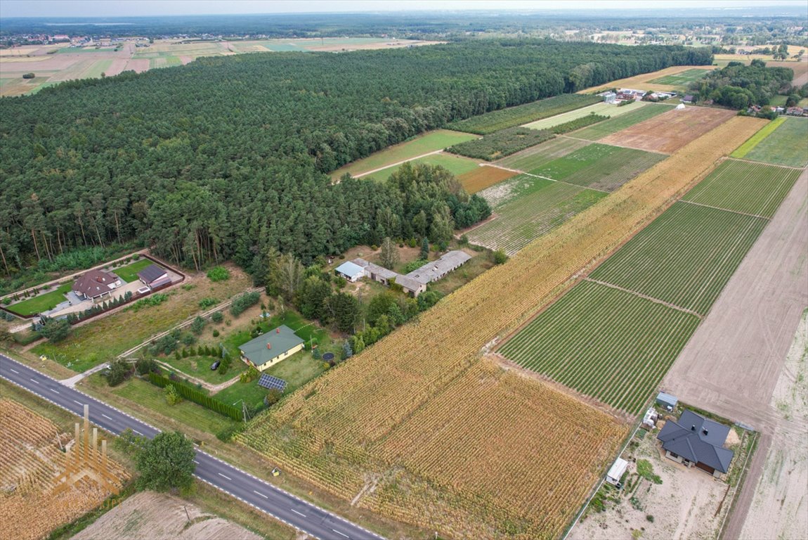 Działka przemysłowo-handlowa na sprzedaż Topólno, Muchowo  20 200m2 Foto 4