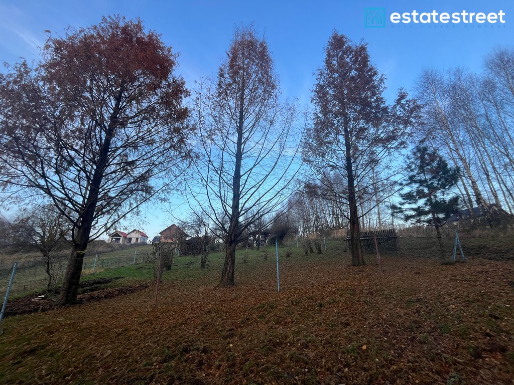 Działka budowlana na sprzedaż Grojec  7 600m2 Foto 6