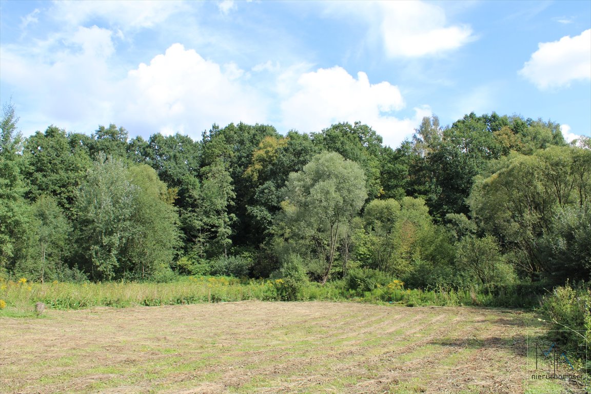 Działka budowlana na sprzedaż Zalesiany  3 195m2 Foto 1