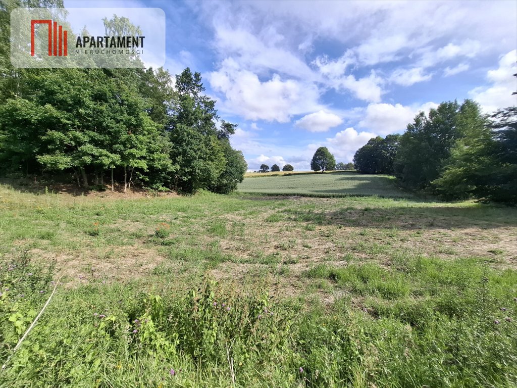 Działka budowlana na sprzedaż Dobrzewino  3 000m2 Foto 1