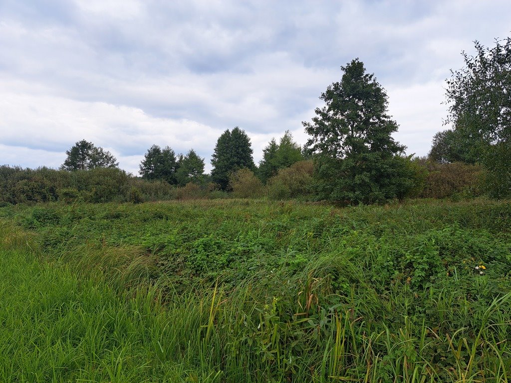 Działka rolna na sprzedaż Olszewka  43 000m2 Foto 11