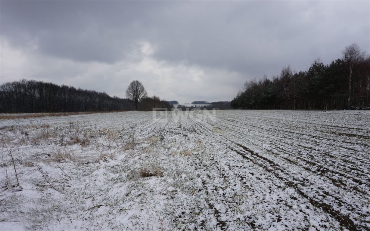 Działka budowlana na sprzedaż Rędziny, Mstowska  18 723m2 Foto 2