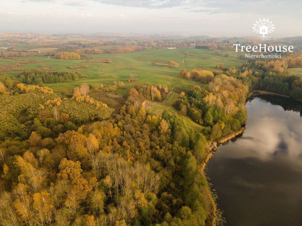 Działka siedliskowa na sprzedaż Włodowo  28 122m2 Foto 14