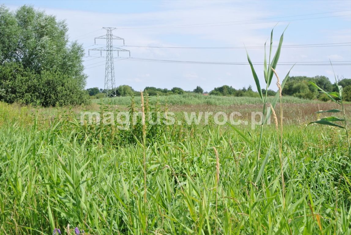 Działka rolna na sprzedaż Wrocław, Psie Pole, Kowale, okolice Chłopskiej  6 069m2 Foto 9