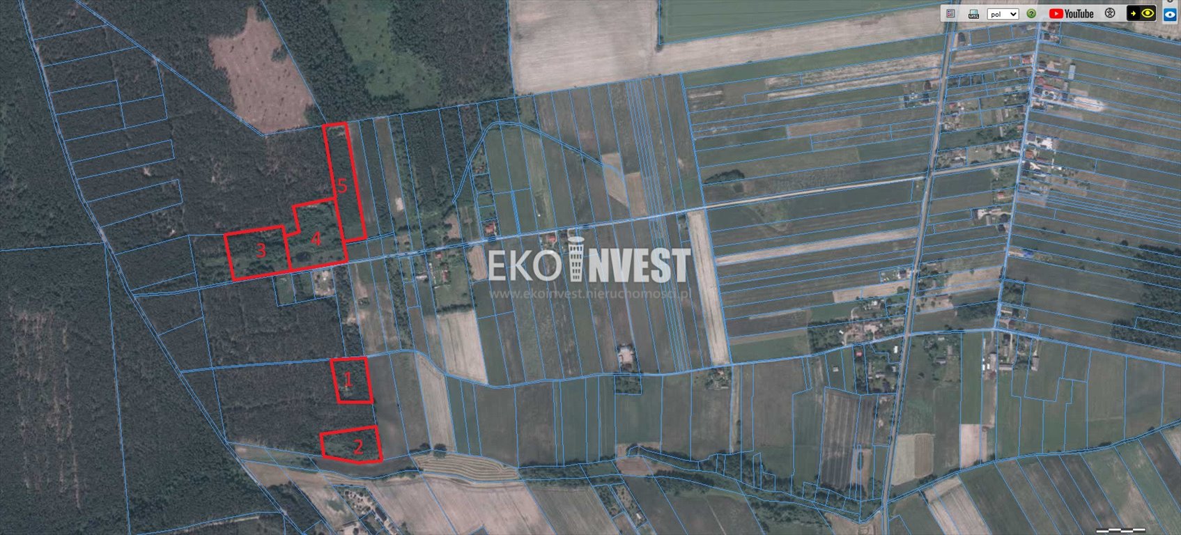 Działka rolna z lasem, inwestycja lub dom, 50 300 m2 Gładczyn Szlachecki, Gładczyn Szlachecki  50 300m2 Foto 1