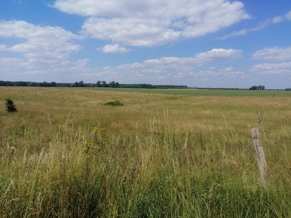 Działka rolna na sprzedaż Dobrzany  148 400m2 Foto 5