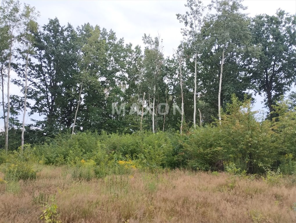 Działka budowlana na sprzedaż Kałęczyn  1 900m2 Foto 3