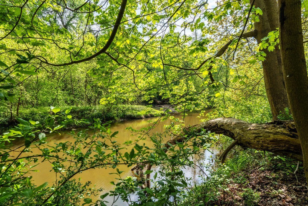 Działka budowlana na sprzedaż Józefów  2 100m2 Foto 4