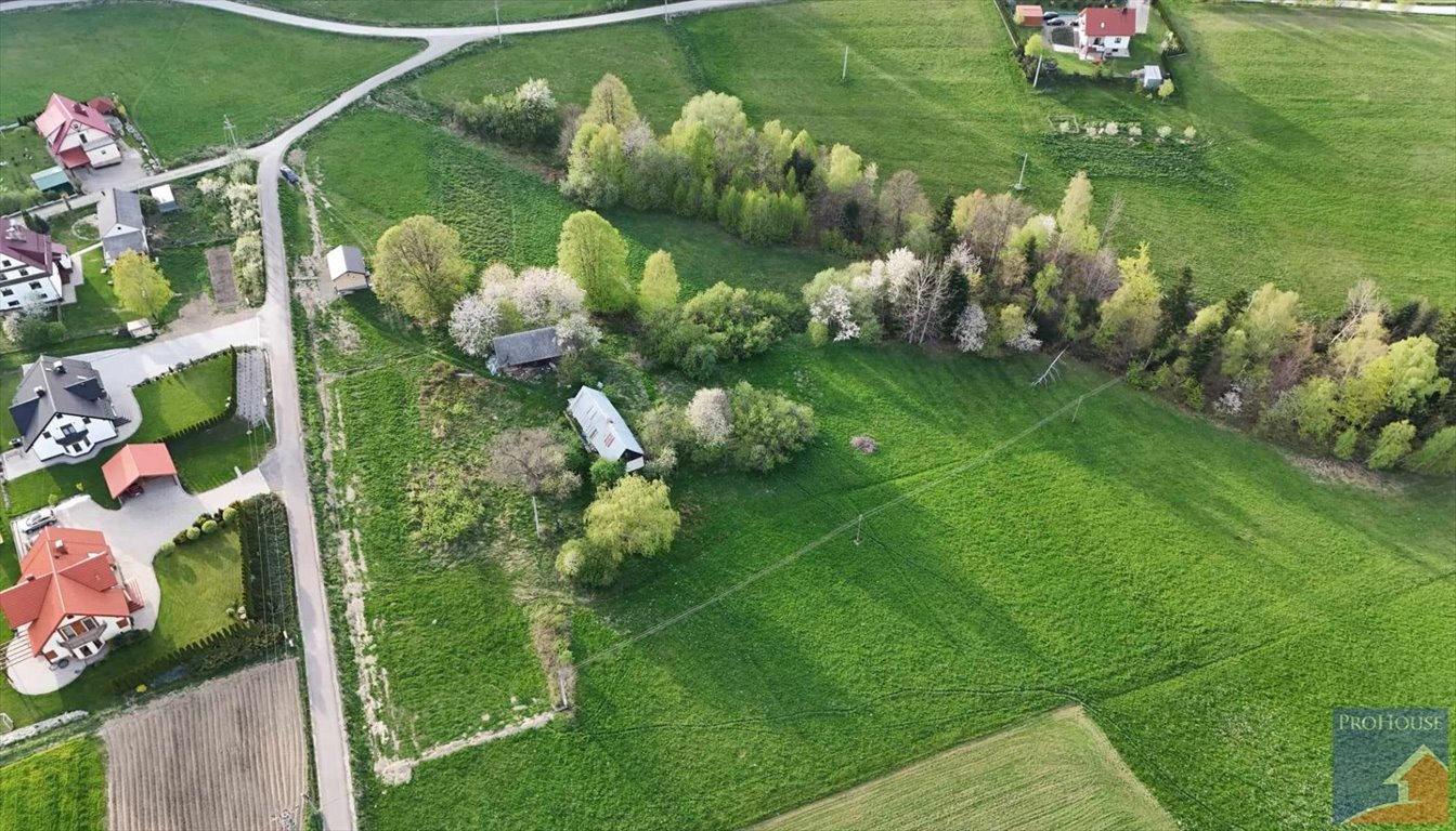 Działka inna na sprzedaż Stara Wieś  14 000m2 Foto 2