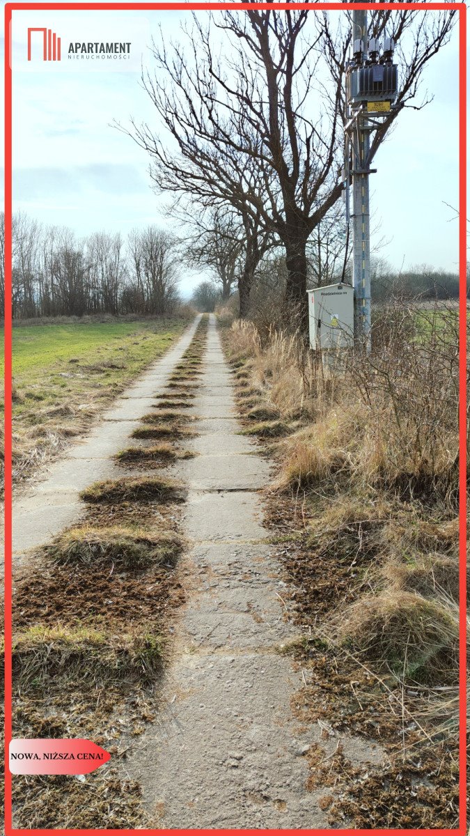 Działka gospodarstwo rolne na sprzedaż Pokrzywnica  25 908m2 Foto 1