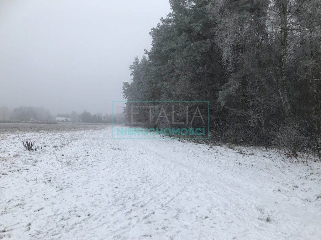 Działka budowlana na sprzedaż Stara Wieś  110 300m2 Foto 10