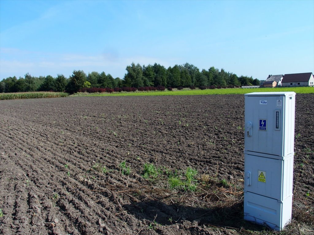 Działka budowlana na sprzedaż Ceradz Dolny  2 206m2 Foto 8