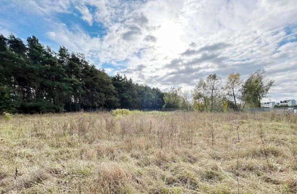 Działka budowlana na sprzedaż Rabowice  950m2 Foto 5