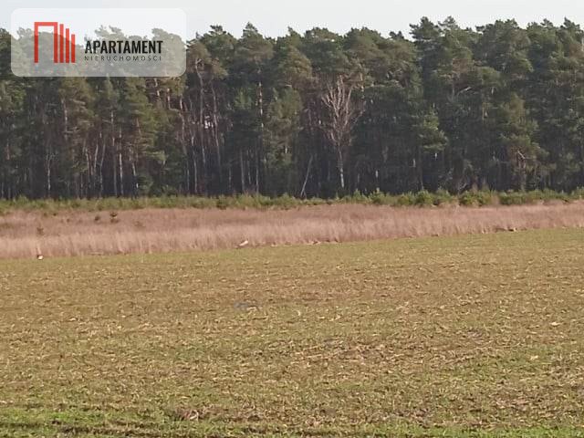 Działka budowlana na sprzedaż Gorzeń  1 051m2 Foto 2