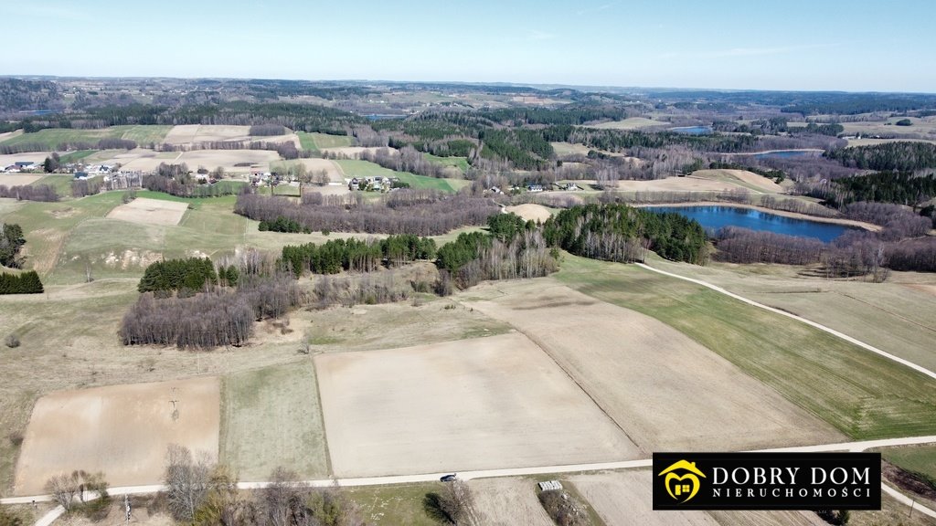Działka rolna na sprzedaż Udziejek  12 905m2 Foto 1