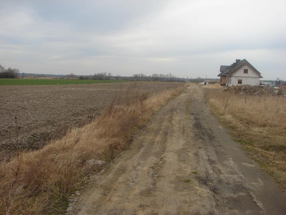 Działka inna na sprzedaż Grzebienisko, Jodłowa  3 830m2 Foto 5