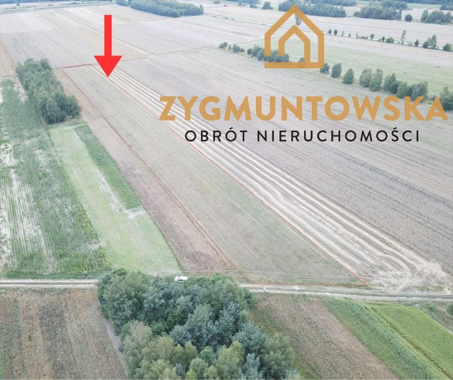 Duże działki rolne w Białaczowie, 1,49 ha, dostęp do drogi Białaczów, Białaczów  14 887m2 Foto 1