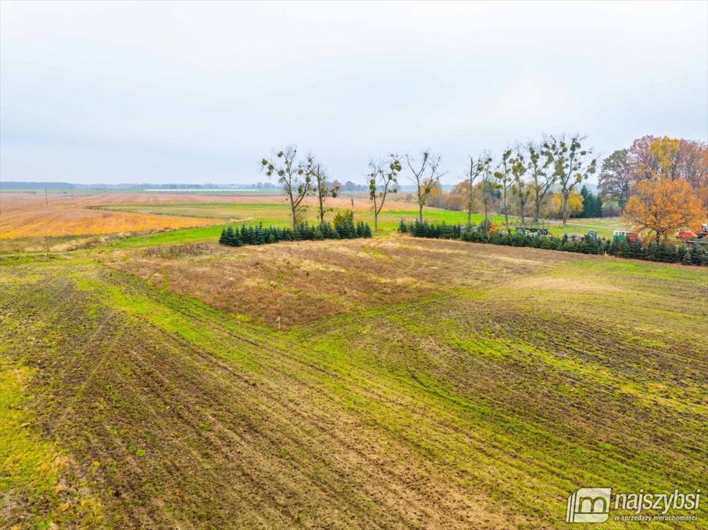 Działka budowlana na sprzedaż Węgorza, Wieś  1 557m2 Foto 6