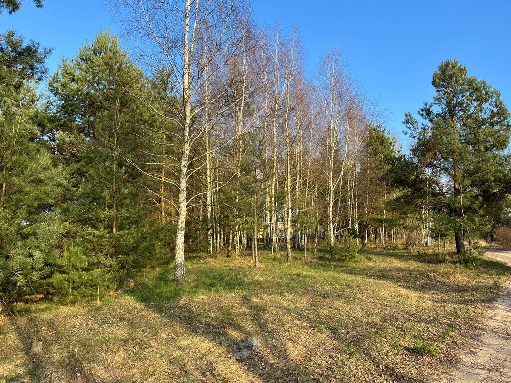 Działka budowlana na sprzedaż Kolonia Piaski  3 400m2 Foto 11