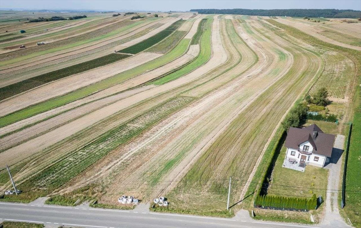 Działka siedliskowa na sprzedaż Sułoszowa  29 400m2 Foto 2