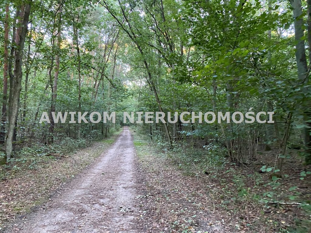 Działka budowlana na sprzedaż Lisna  2 162m2 Foto 3