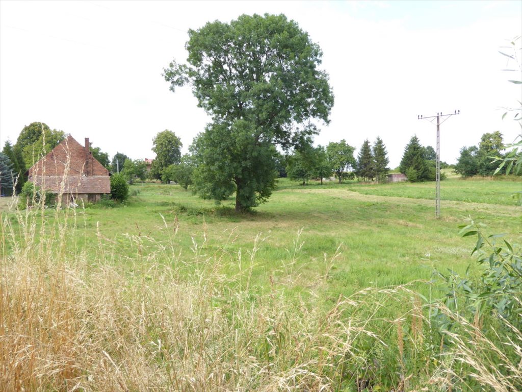 Działka budowlana 10 900 m² z drzewami i mediami Oborniki Śląskie  10 900m2 Foto 1