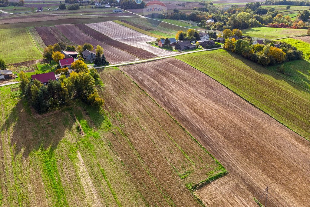 Działka budowlana na sprzedaż Krępa  2 600m2 Foto 16