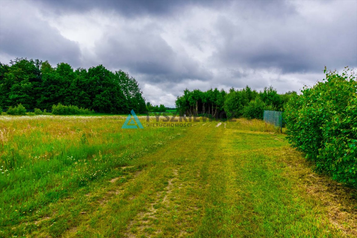 Działka rolna na sprzedaż Stary Barkoczyn  3 013m2 Foto 10