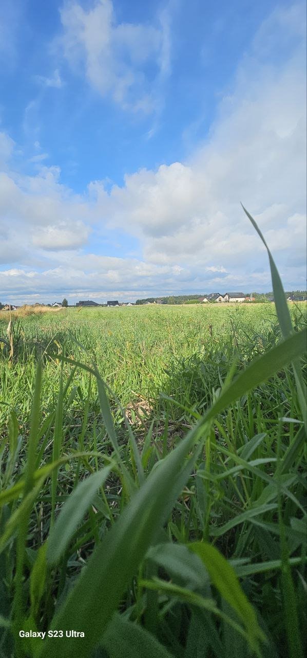 Działka budowlana na sprzedaż Bojszowy  977m2 Foto 4