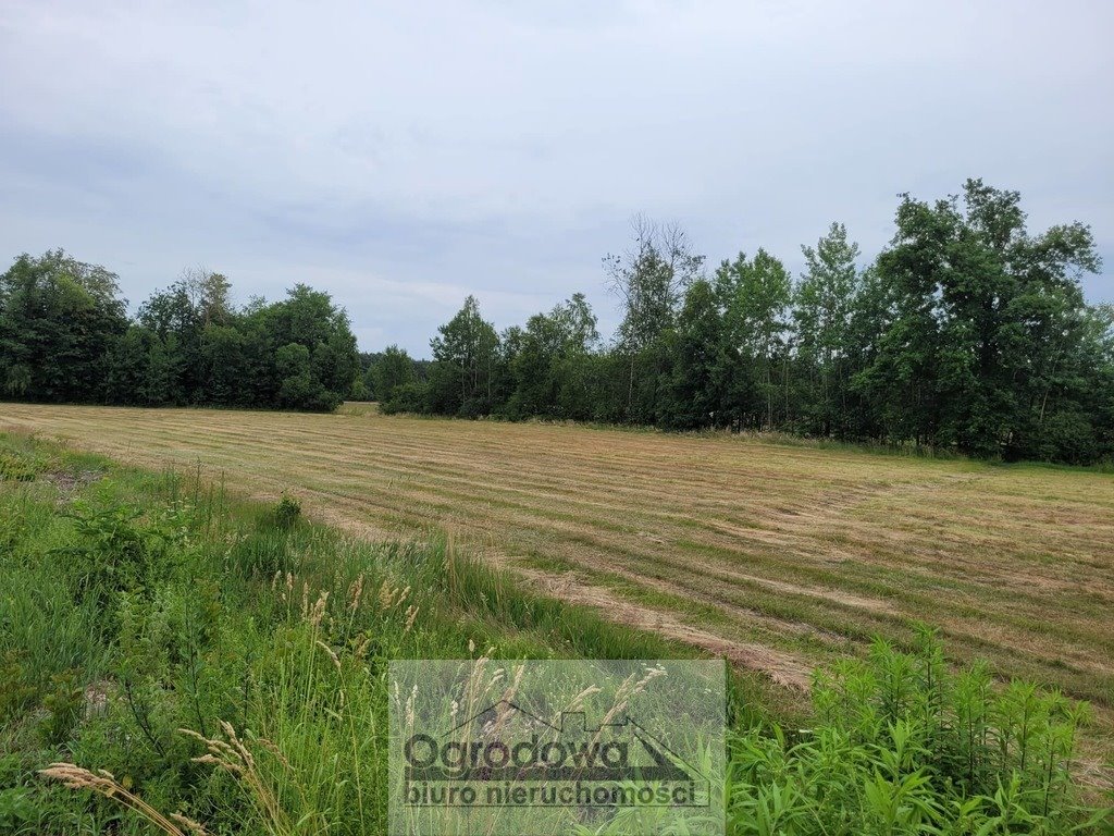 Działka budowlana na sprzedaż Korytnica  2 000m2 Foto 3