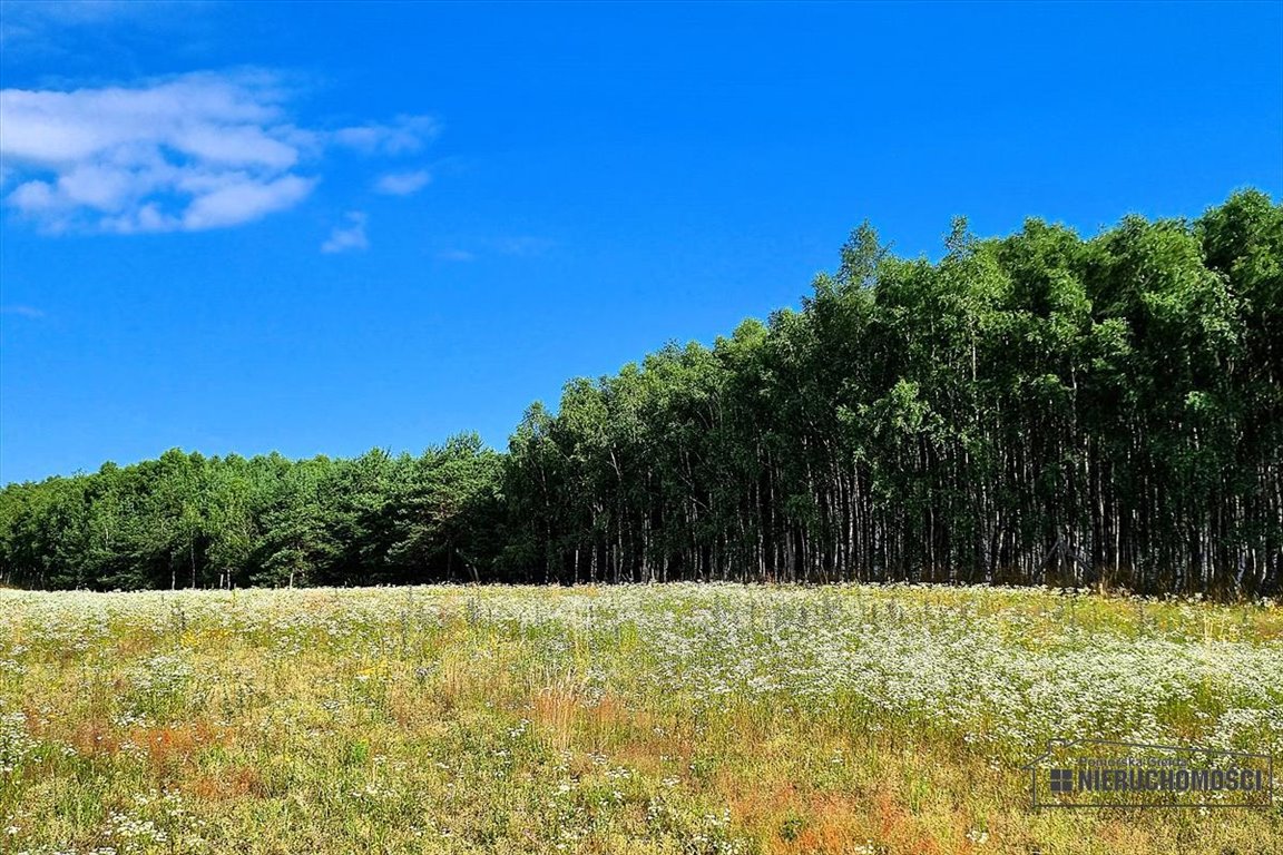 Działka inna na sprzedaż Dołgie  54 000m2 Foto 11