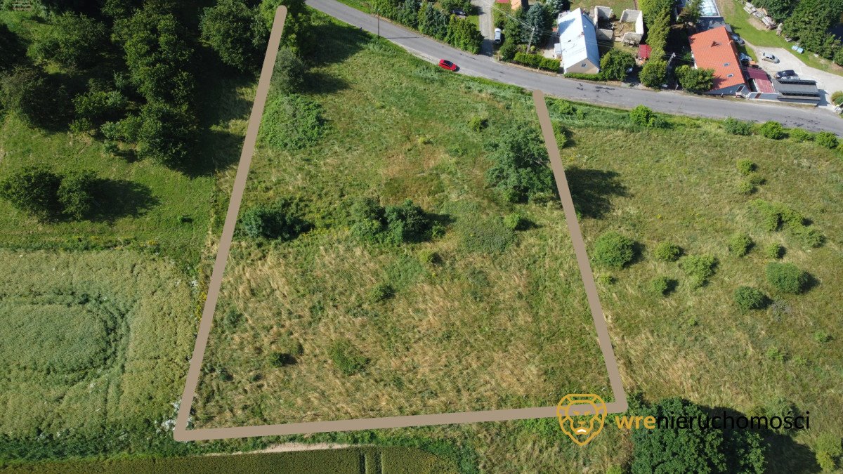 Na sprzedaż działka 6243 m² z MPZP w Jędrzejowicach Jędrzejowice  6 243m2 Foto 1