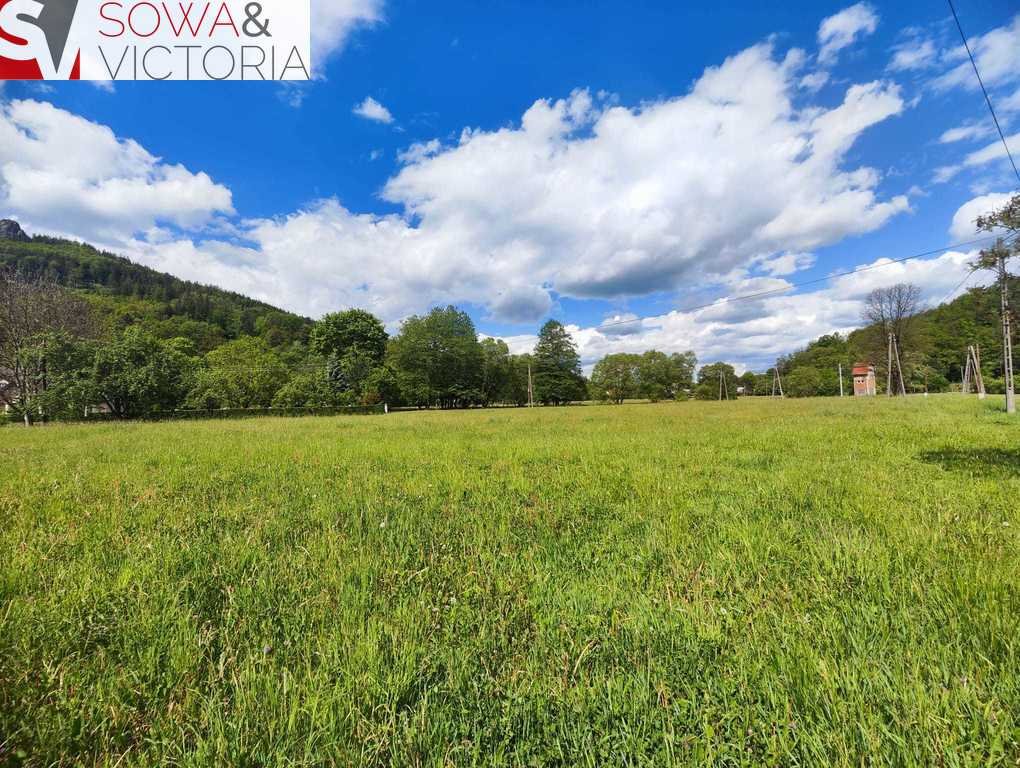 Działka budowlana na sprzedaż Trzcińsko  4 000m2 Foto 5