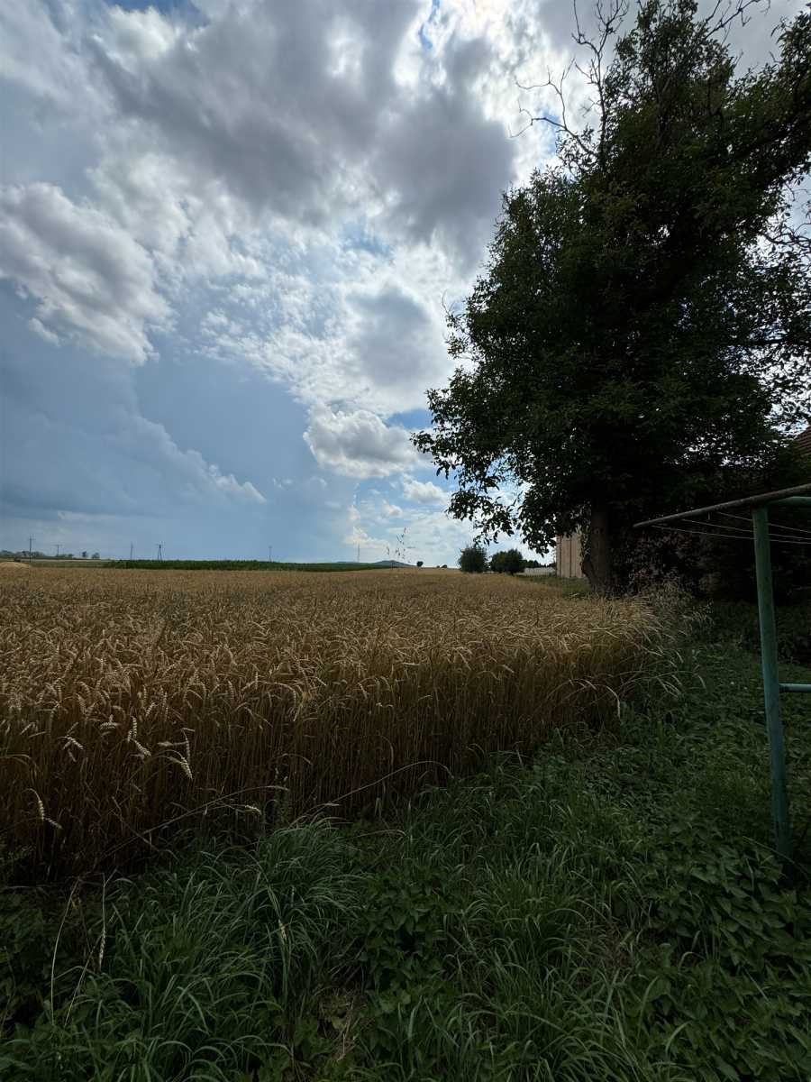 Dom na sprzedaż Olbrachcice Wielkie, Olbrachcice Wielkie  300m2 Foto 4