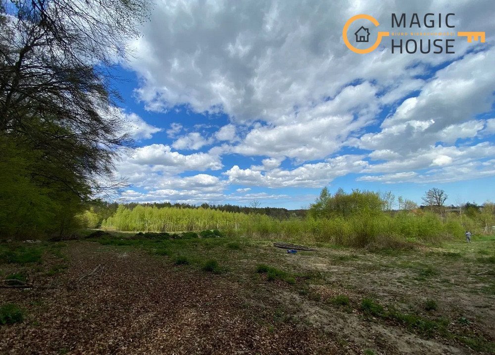 Działka budowlana na sprzedaż Buszkowy, Rajska Dolina  3 500m2 Foto 5