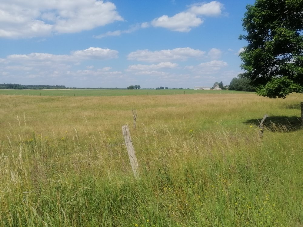 Działka rolna na sprzedaż Dobrzany  148 400m2 Foto 4