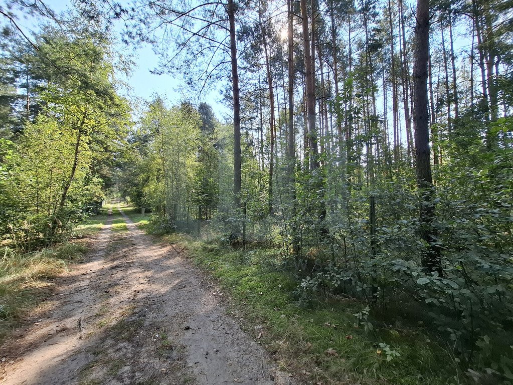 Działka rekreacyjna na sprzedaż Wysoka Lelowska  2 321m2 Foto 2