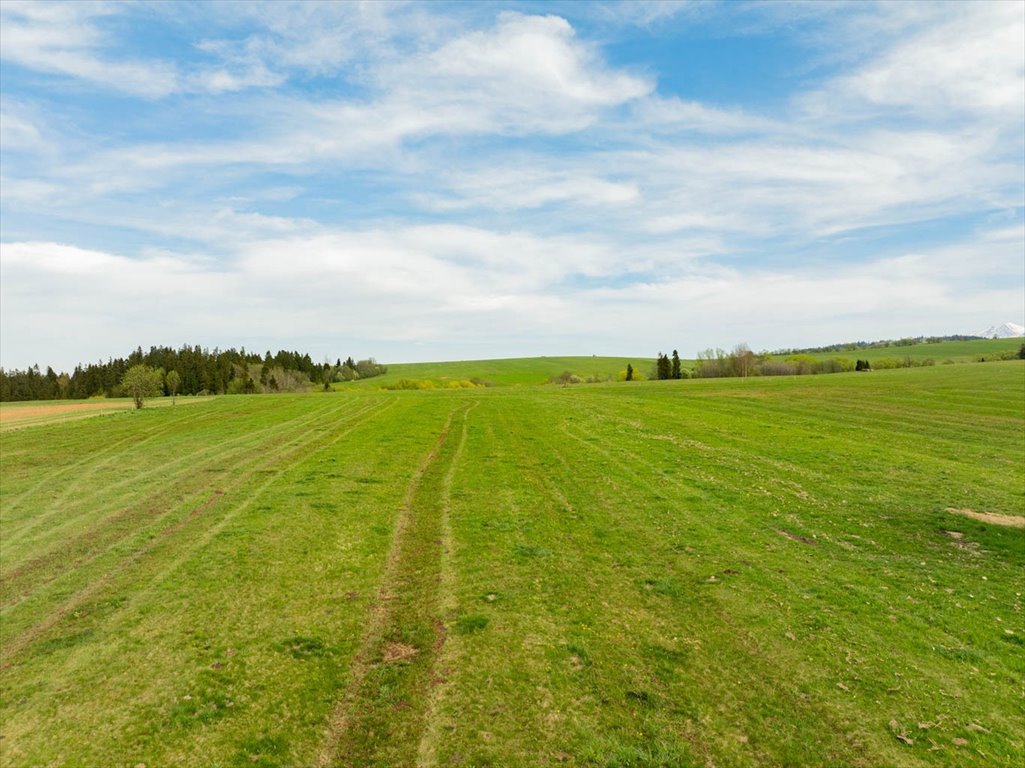 Do sprzedania działka rolna 4357 m² przy drodze w Szaflarach Szaflary, Rola Galicowa  4 357m2 Foto 1