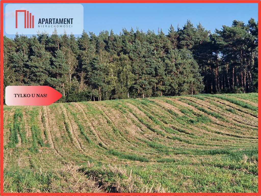 Działka budowlana przy jeziorze z lasem i warunkami zabudowy Wiewiórczyn  3 294m2 Foto 1