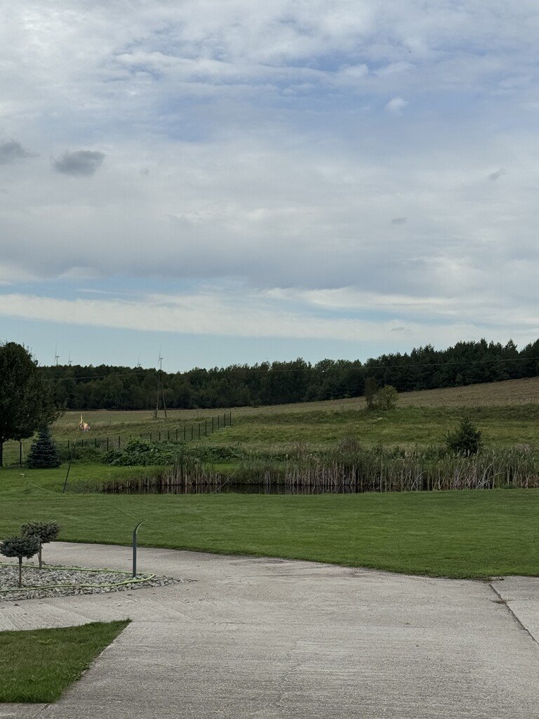 Działka budowlana na sprzedaż Wola  3 081m2 Foto 1