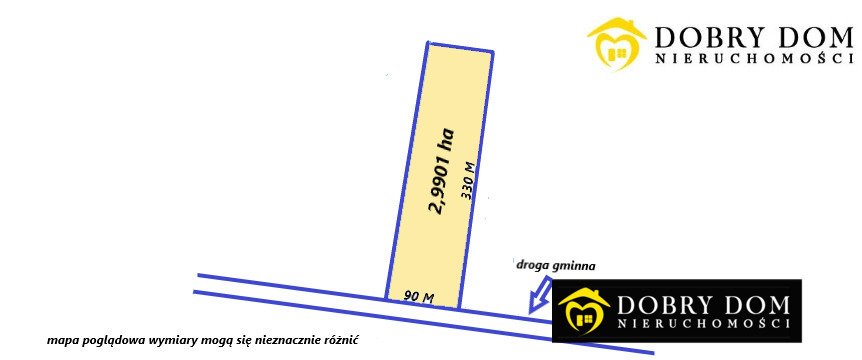Zapraszam do zakupu działki leśnej 29 900 m² w Lewickiem Lewickie-Kolonia  29 900m2 Foto 1