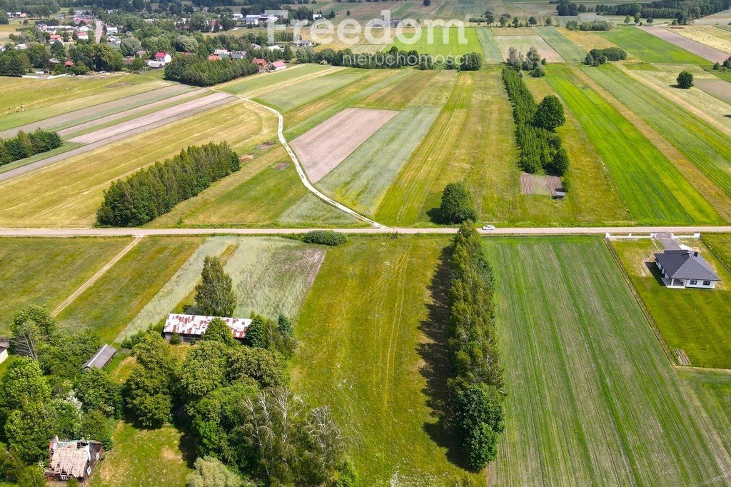 Działka budowlana na sprzedaż Maksymilianów  3 000m2 Foto 6